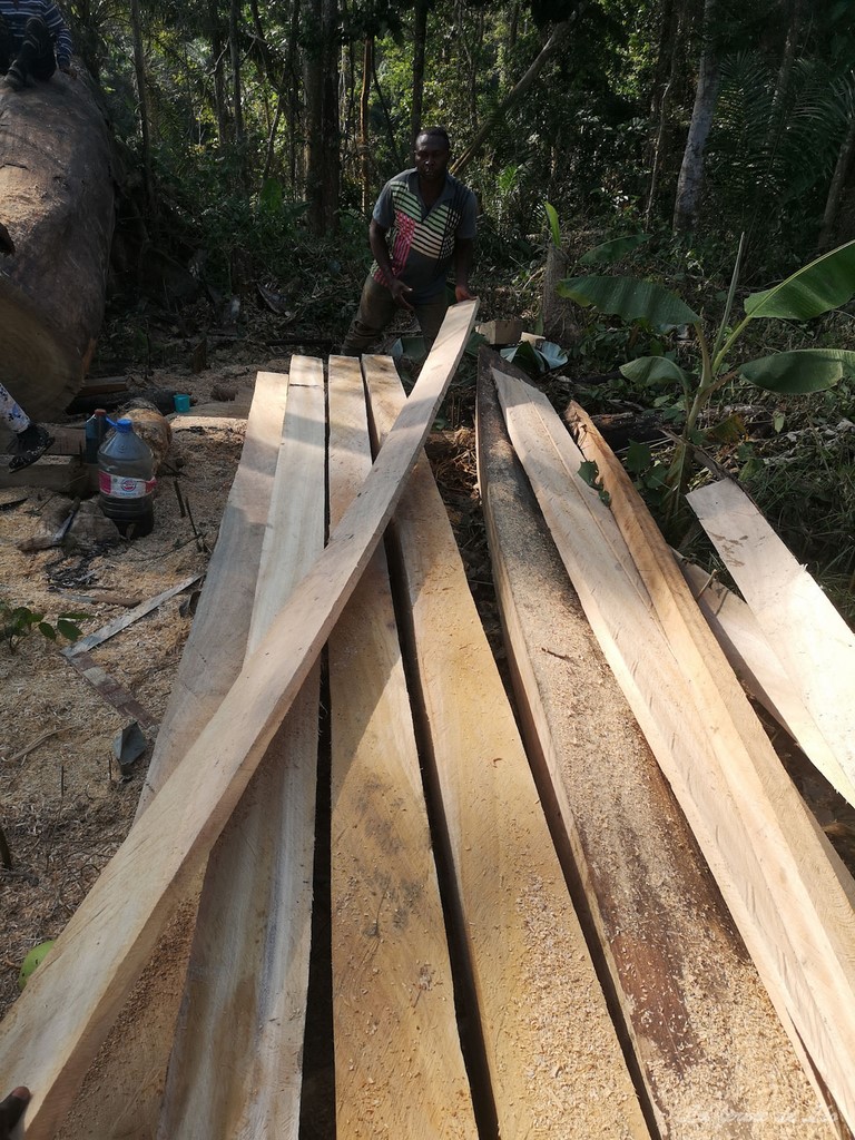 La ferme de Léo 2022, mission humanitaire, Nkolnyama Cameroun, La ferme de Léo,