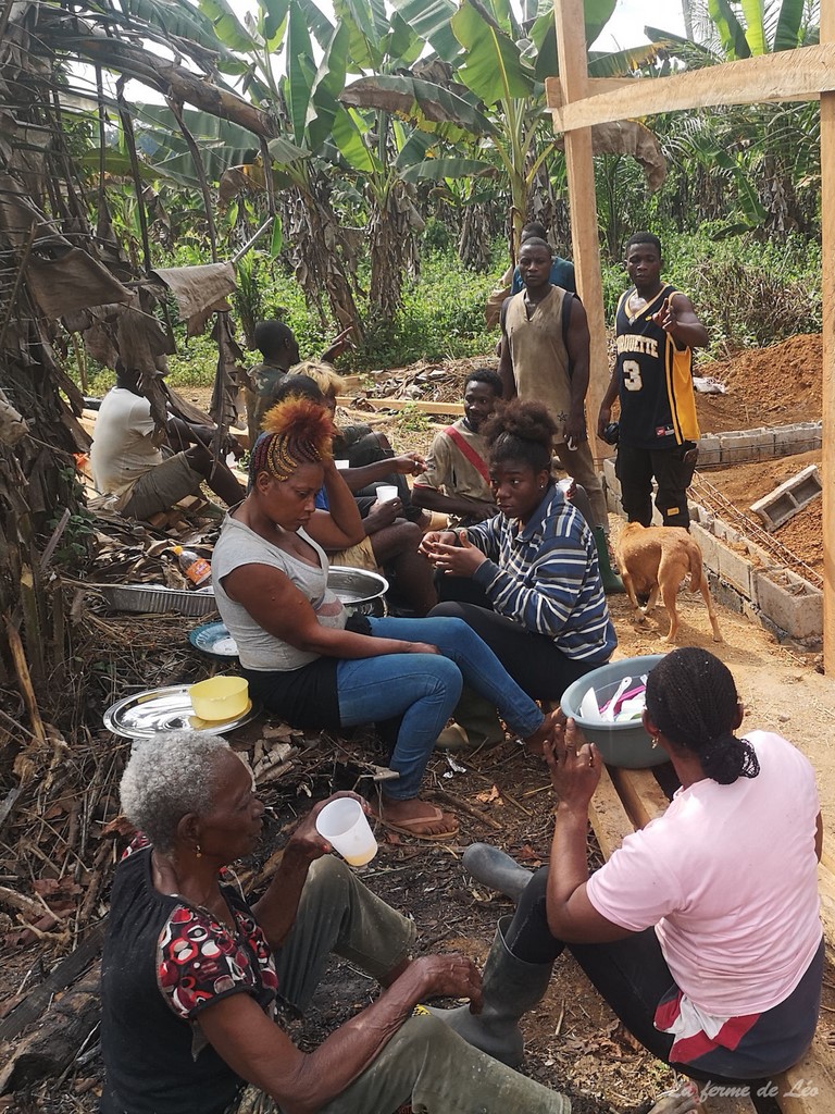 La ferme de Léo 2022, mission humanitaire, Nkolnyama Cameroun, La ferme de Léo, chantier participatif,