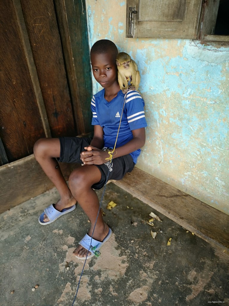 Mission humanitaire au Cameroun-2019