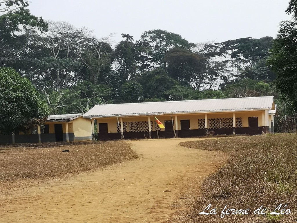 LFDL_Cameroun 2020-école de Nkolnyama