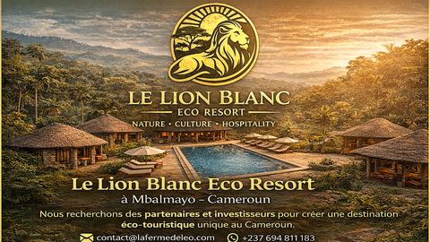 Vente en gros de Manioc frais et transformé, bouture, farine, bobolo,manioc frais, pkem, gari, semoule, baton de manioc, Champs manioc, rendement, Association et Coopérative La ferme de Léo, Champs de Manioc,Cameroun, Gic Manioc Nkoumadzap,