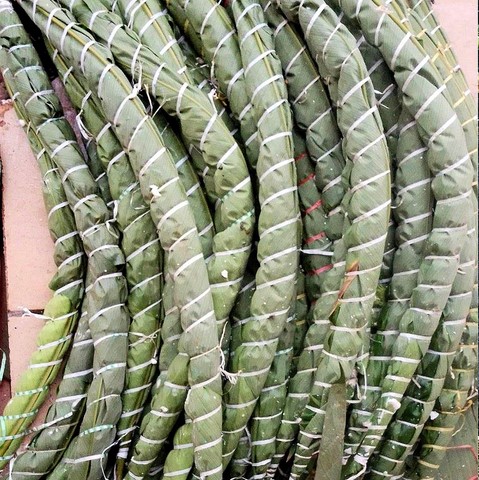 Vente en gros de Manioc frais et transformé, bouture, farine, bobolo,manioc frais, pkem, gari, semoule, baton de manioc, Champs manioc, rendement, Association et Coopérative La ferme de Léo, Cameroun, Gic Manioc Nkoumadzap,